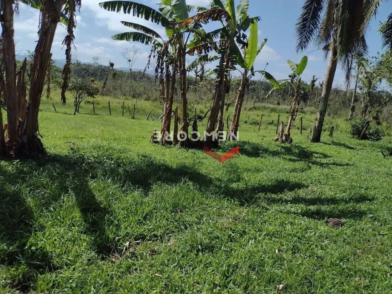 Lote em Estrada do Cajueiro - Antonio Novaes - Peruíbe/SP - Foto 4