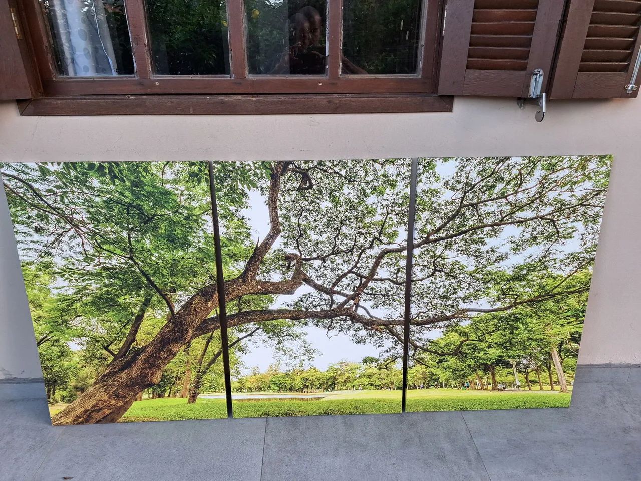 Quadro Paisagem com Árvore grande - Foto 3