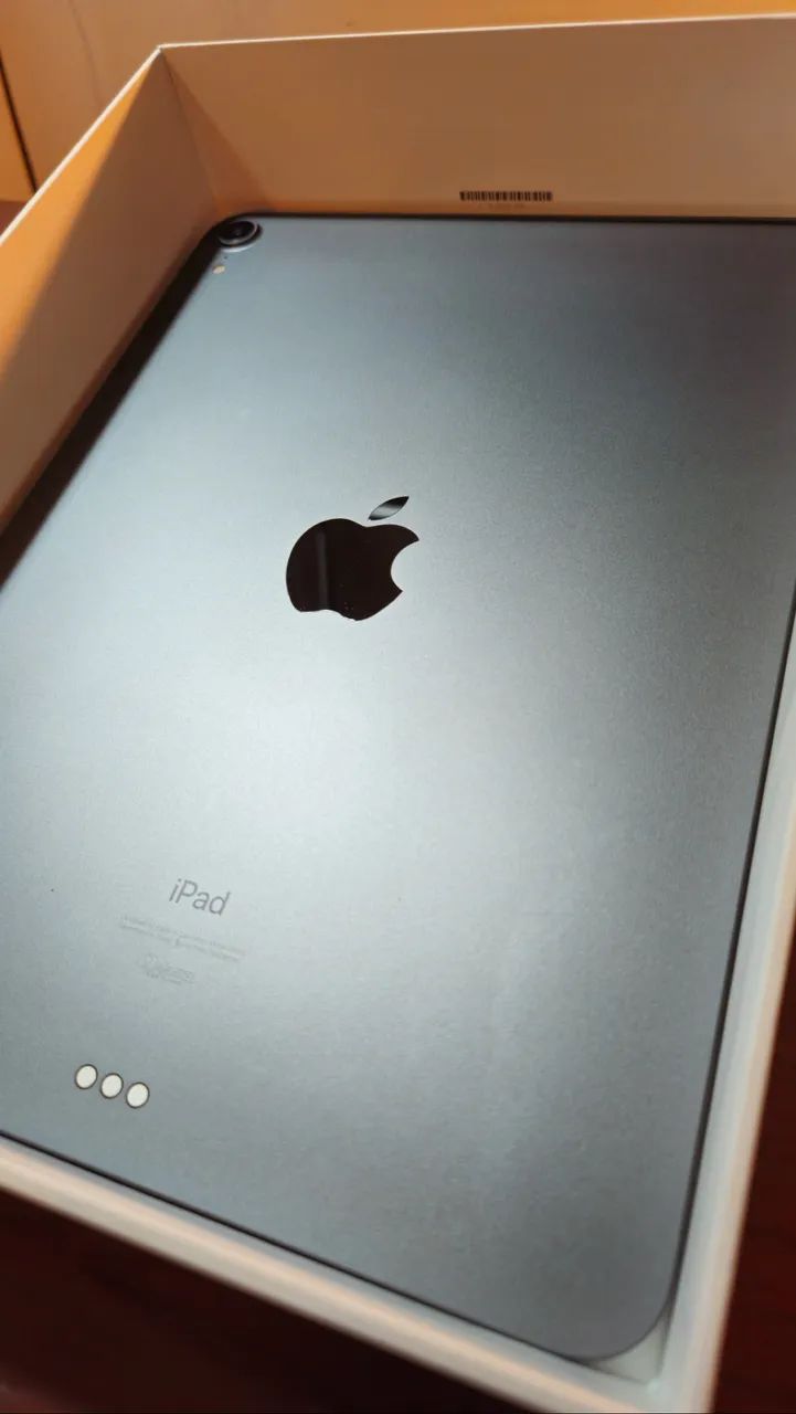 Ipad Pro 11 256gb Wi-FI