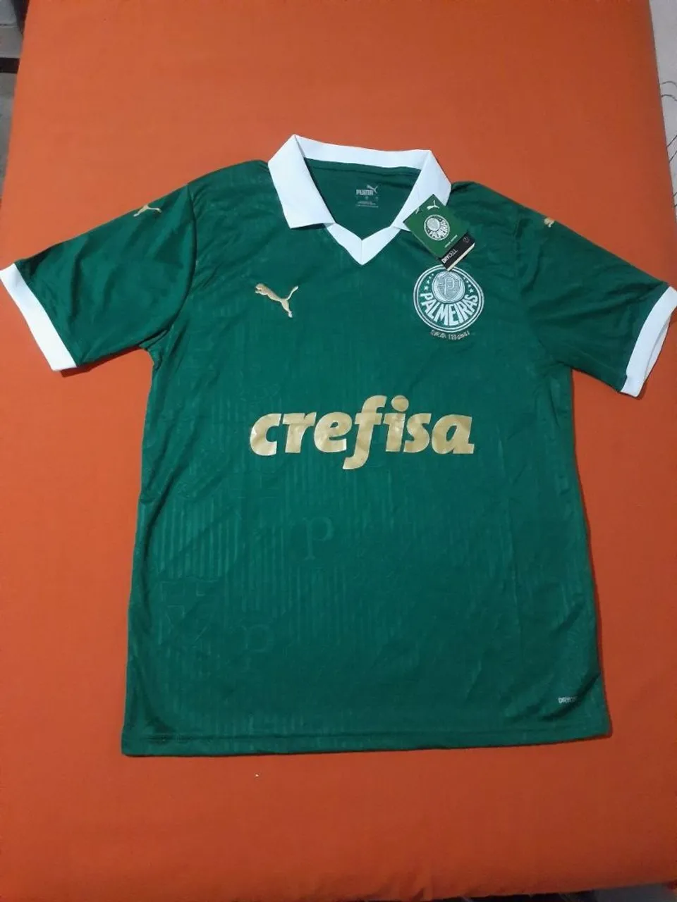 CAMISA DO PALMEIRAS (TAMANHO G)