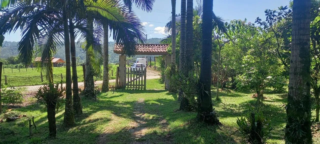  VENDA OU TROCA POR APARTAMENTO SITIO FAZENDINHA BIGUAÇU  - Foto 2