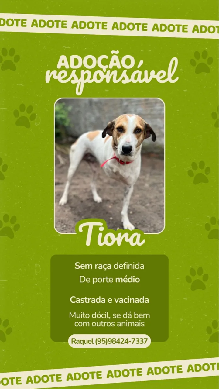 Cachorra fêmea