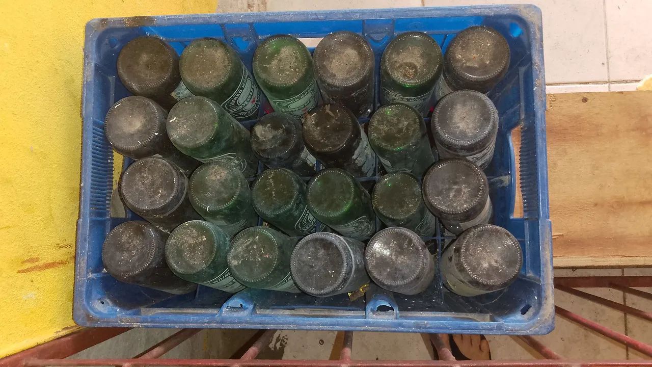 Duas grades com garrafas de 600ml