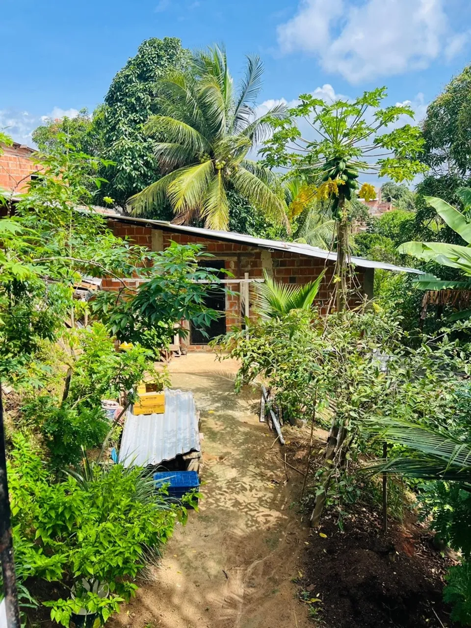 Sítio com galpão e área verde