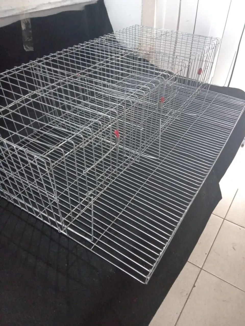 Cage for Quail Project64313864780289124