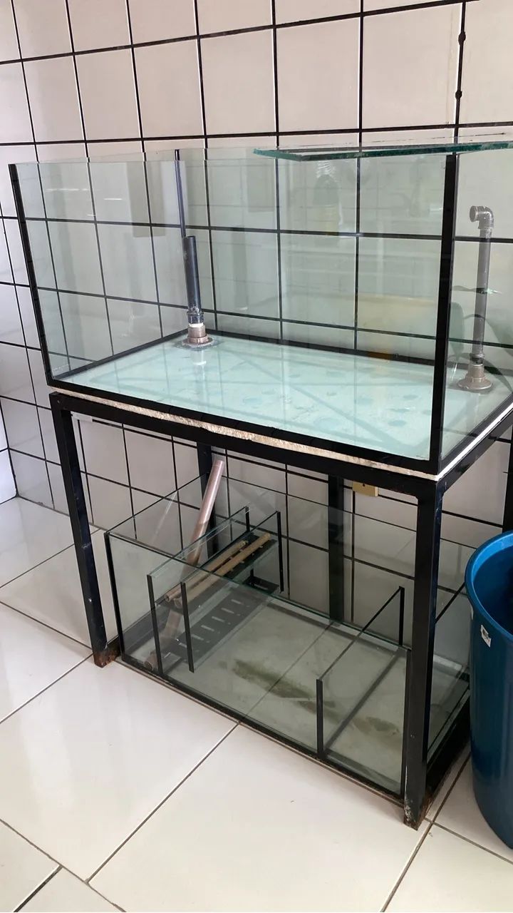 AQUÁRIO COMPLETO64651356980482123