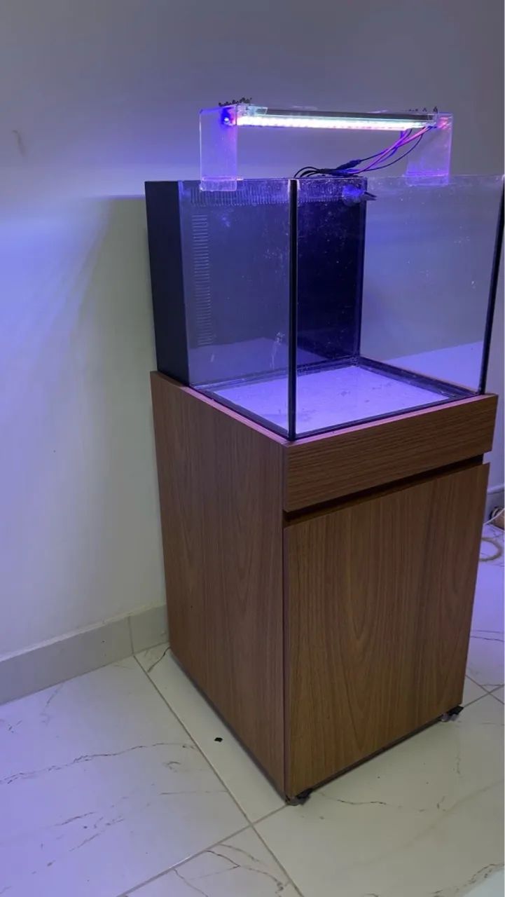 Aquário sump traseiro  - Foto 3