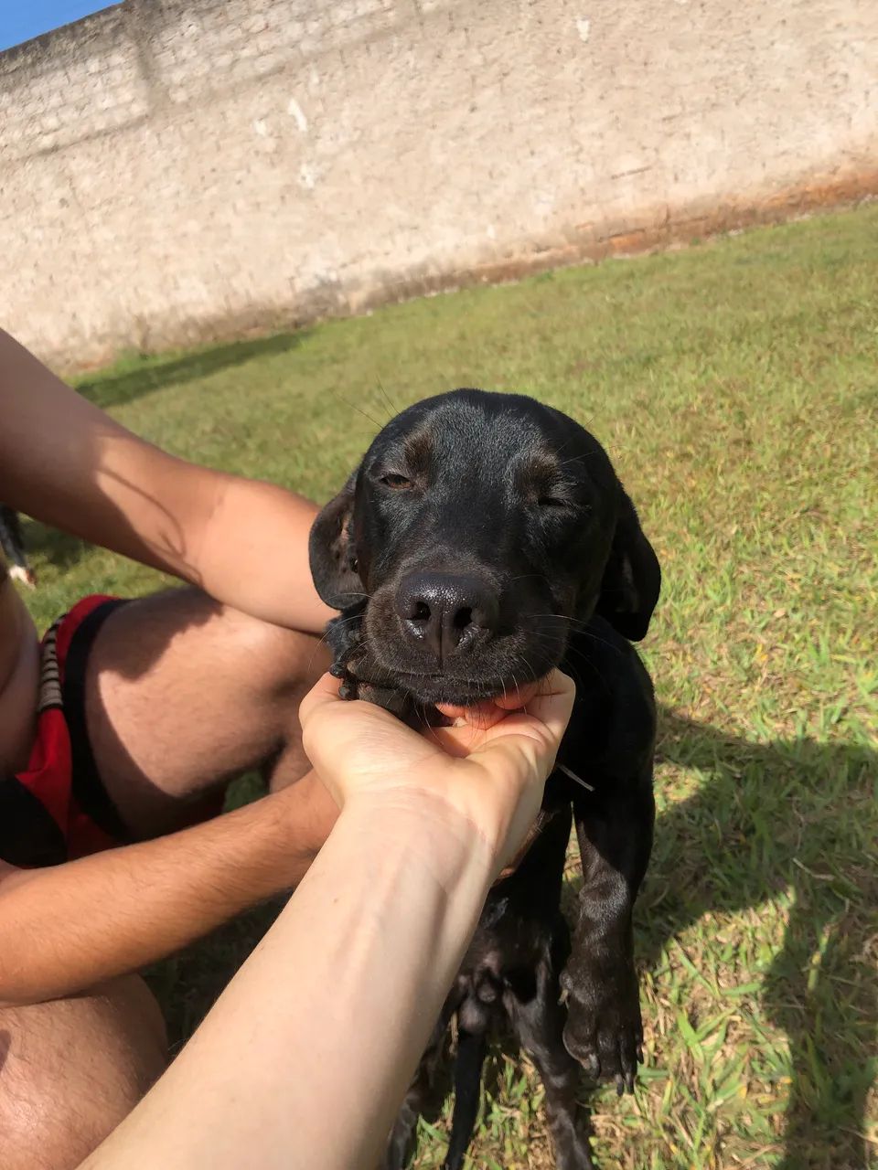 Adoção Conjunta - Foto 4