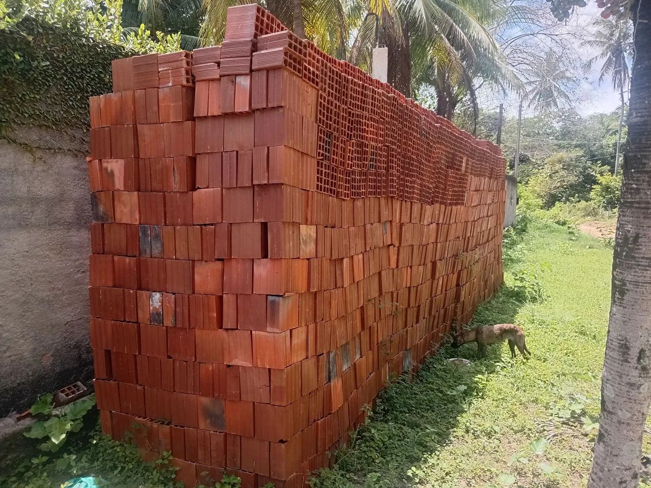 Tijolos 65578334104961121