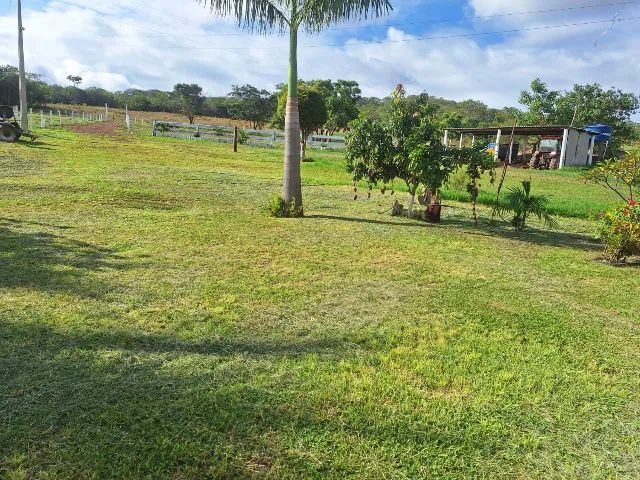 FAZENDA À VENDA - OPORTUNIDADE RARA - Foto 5