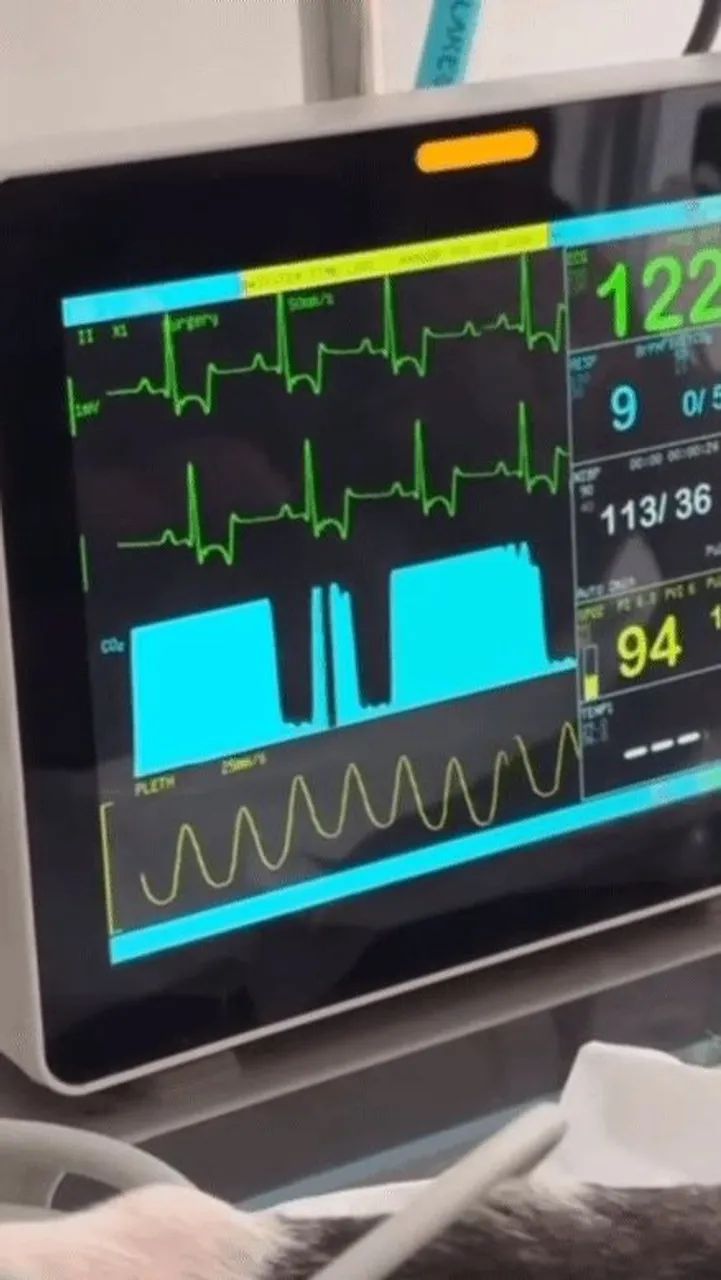 Monitor multiparamétrico veterinário com capnografia mainstream e 5 derivações 