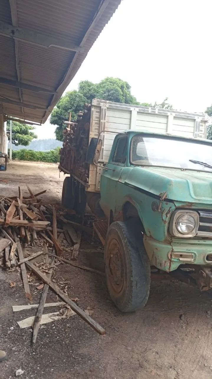 Vendo caminhão (leia)