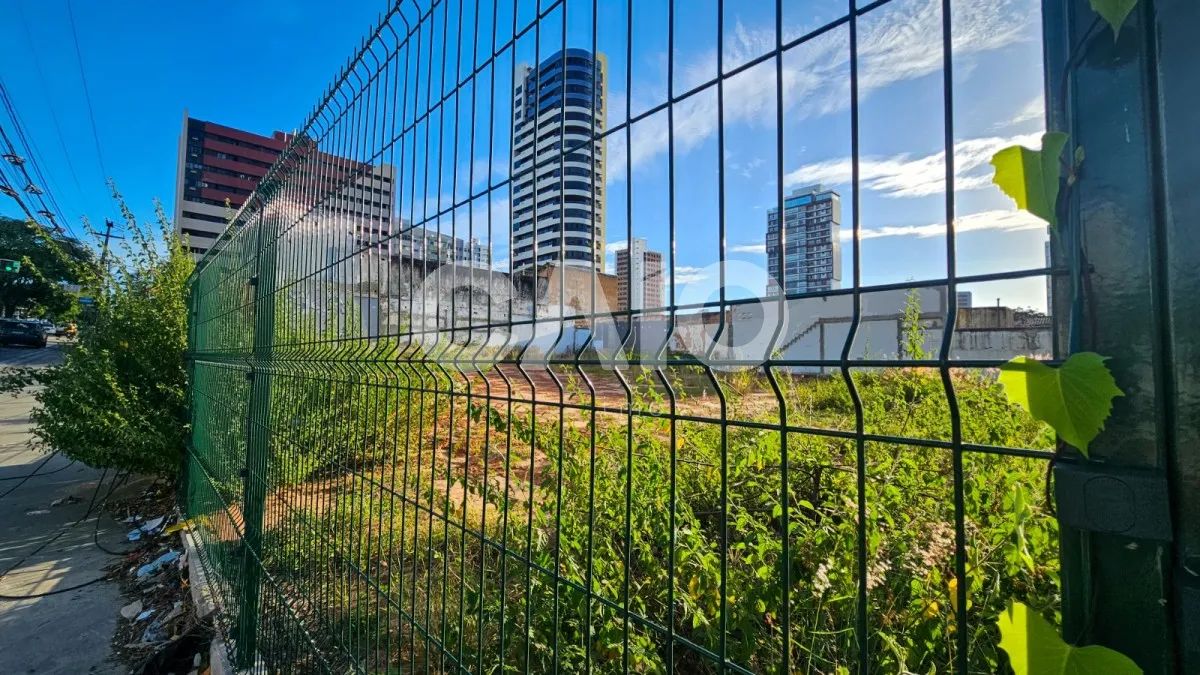 Terreno comercial em Tirol - Foto 4