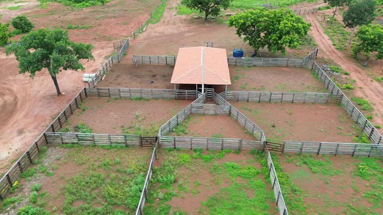 Fazenda no Tocantins  - Foto 3