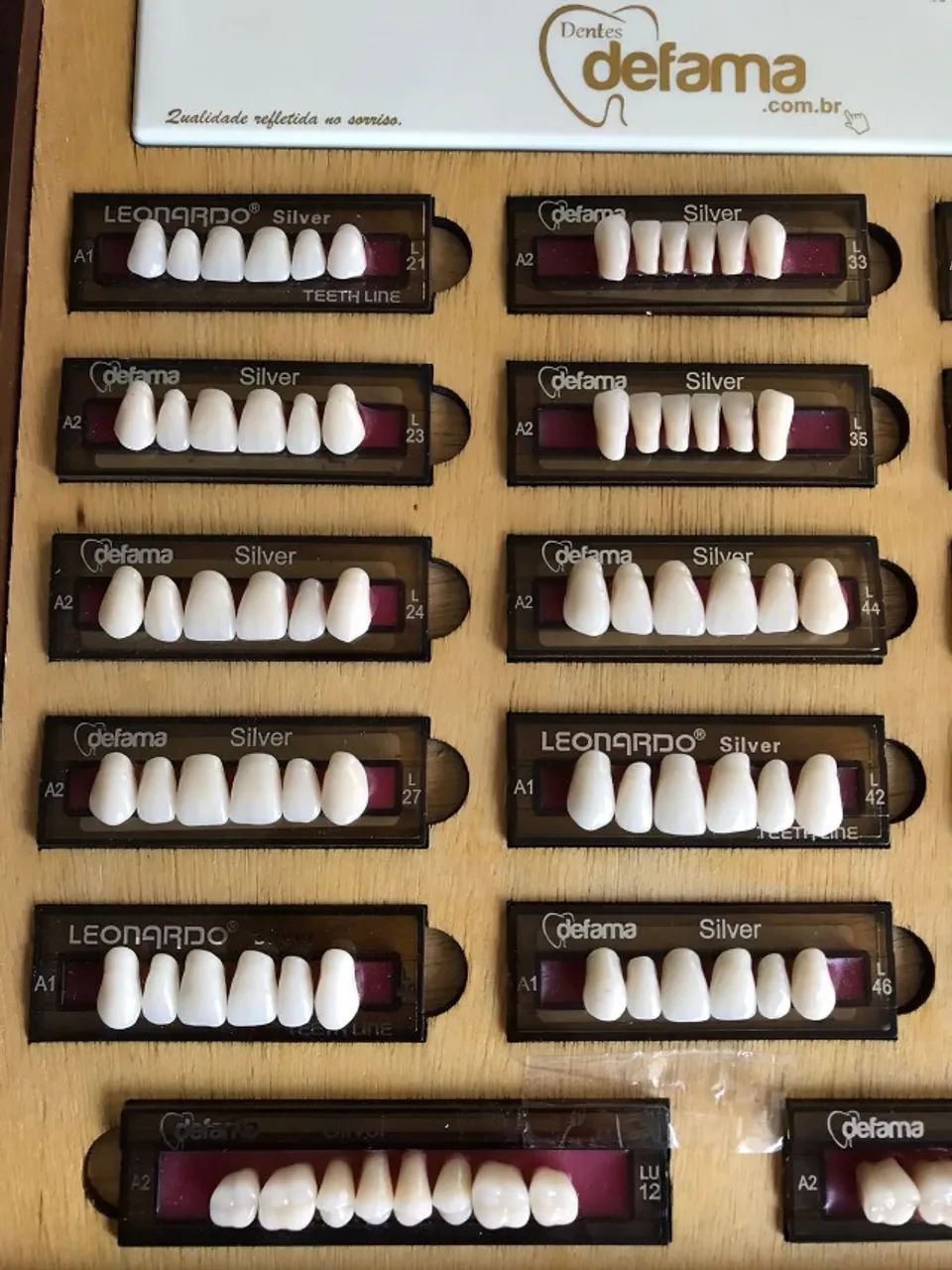 Quadro com Dentes Leonardo e Escala Defama - Foto 2