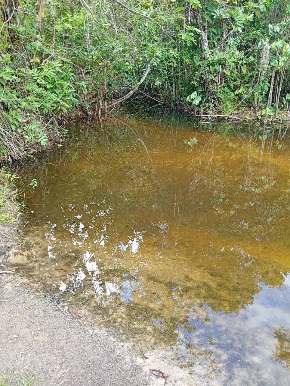 Vendo chácara c/ banho e casa ,40 km de Boa vista  - Foto 2