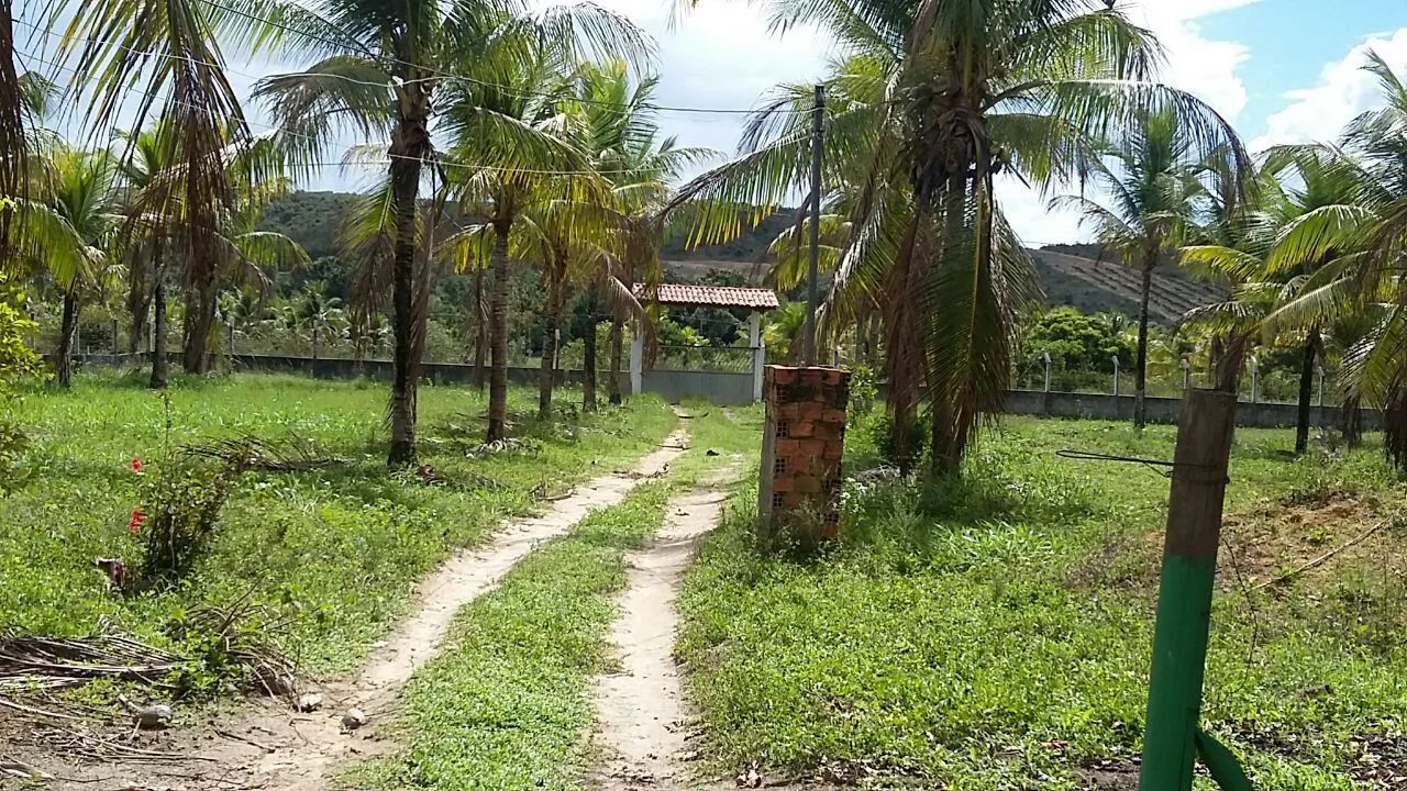 Sítio em Esplanada-BA - Foto 2
