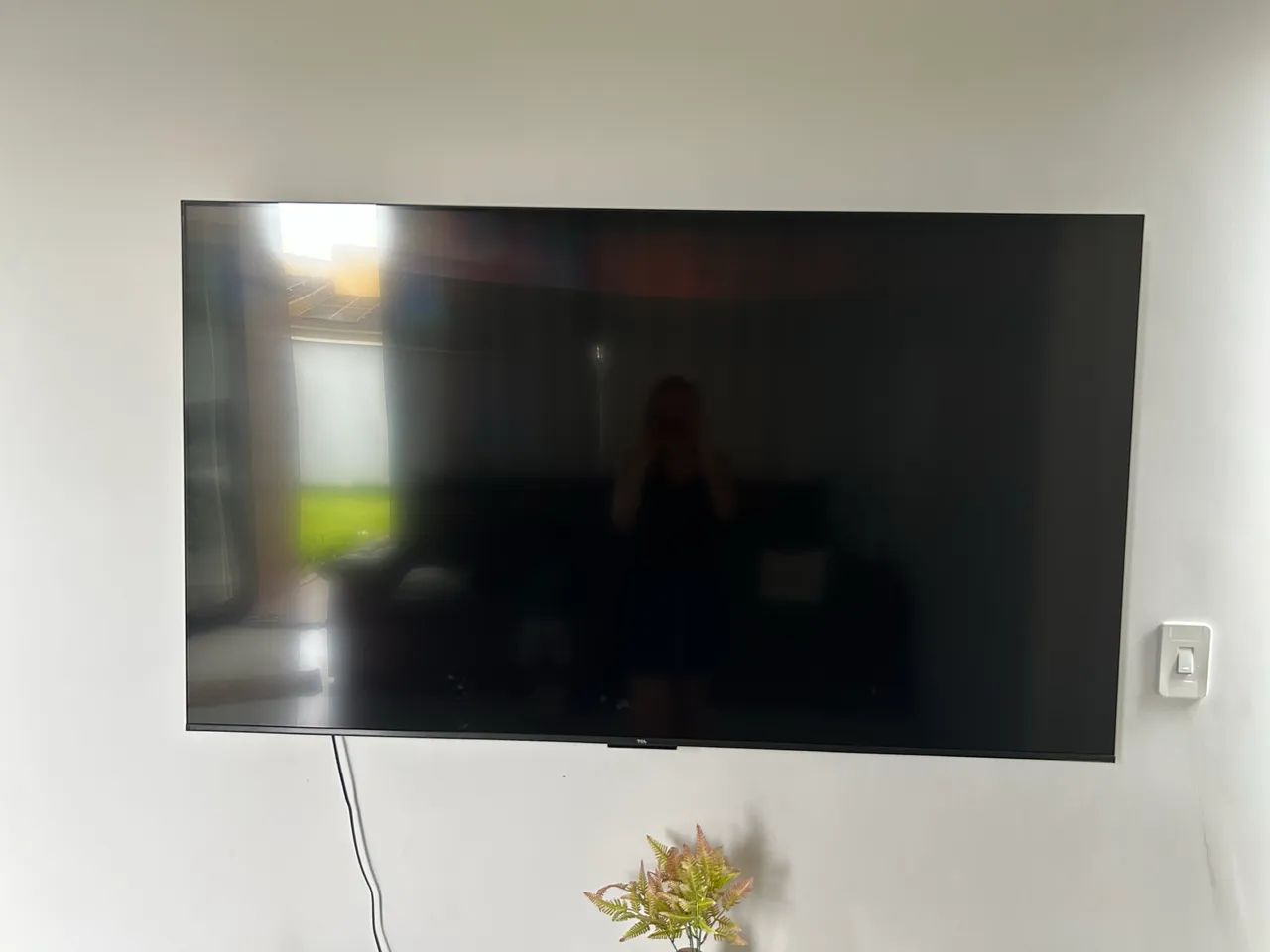Televisão 