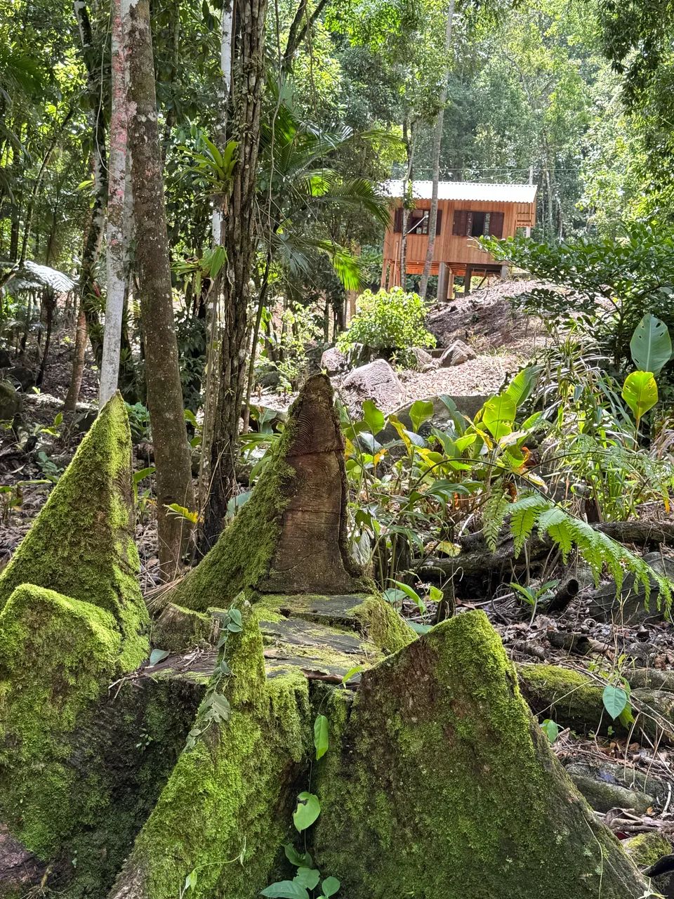 Foto - Balneário Piçarras - 