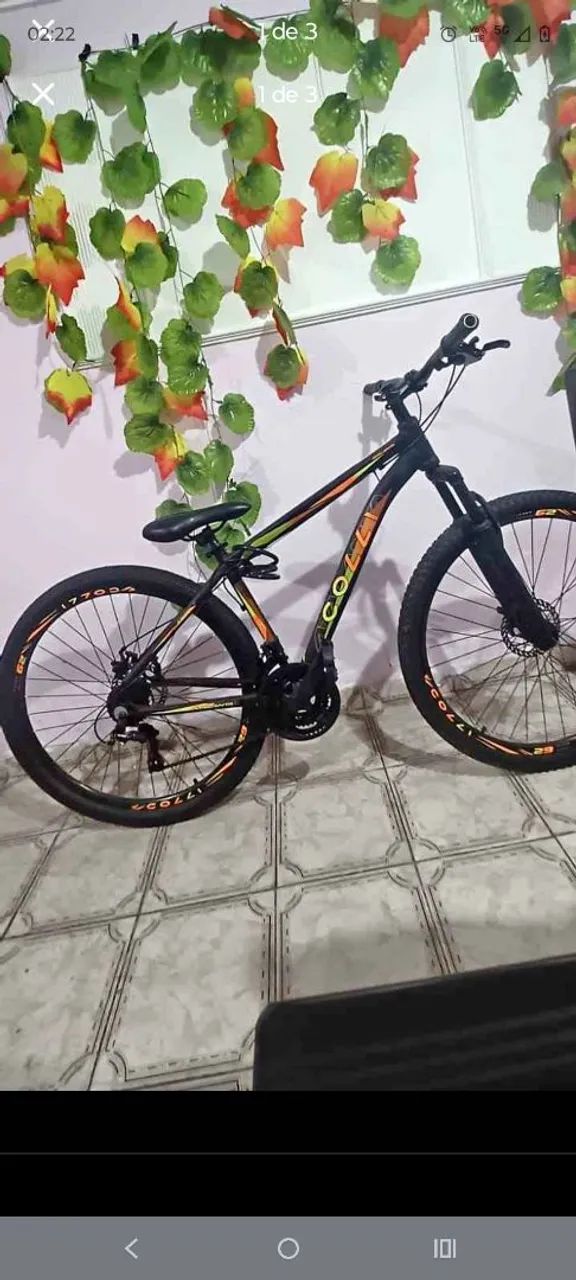 Bicicleta  - Foto 2