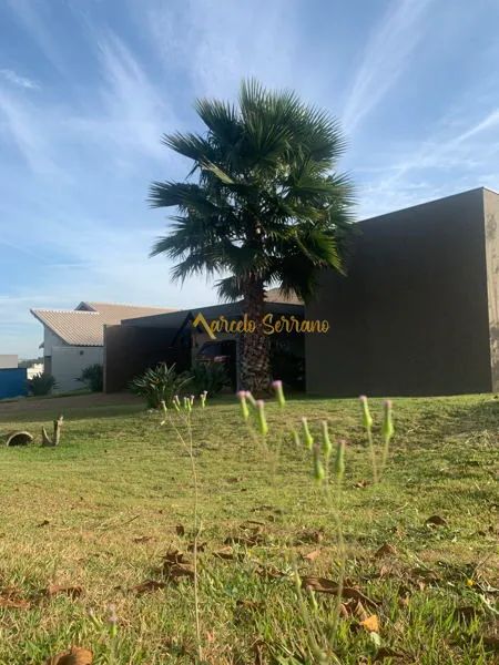 Terras de Canaã - Foto 2