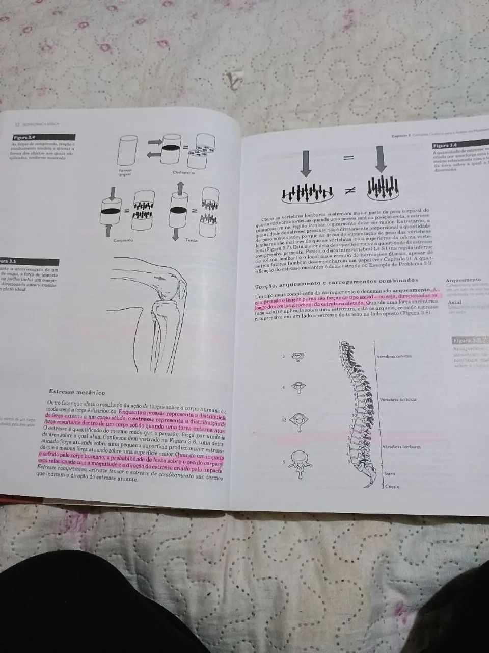 Livro Biomecânica Básica Susan J. Hall 8° edição - Livros e