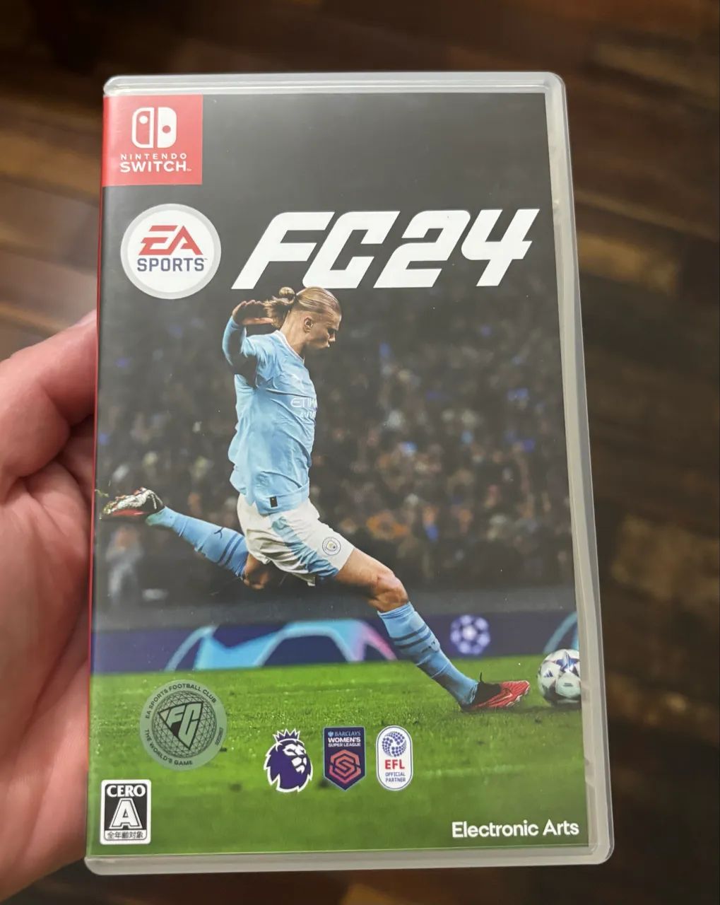 Fc24 Nintendo Switch 