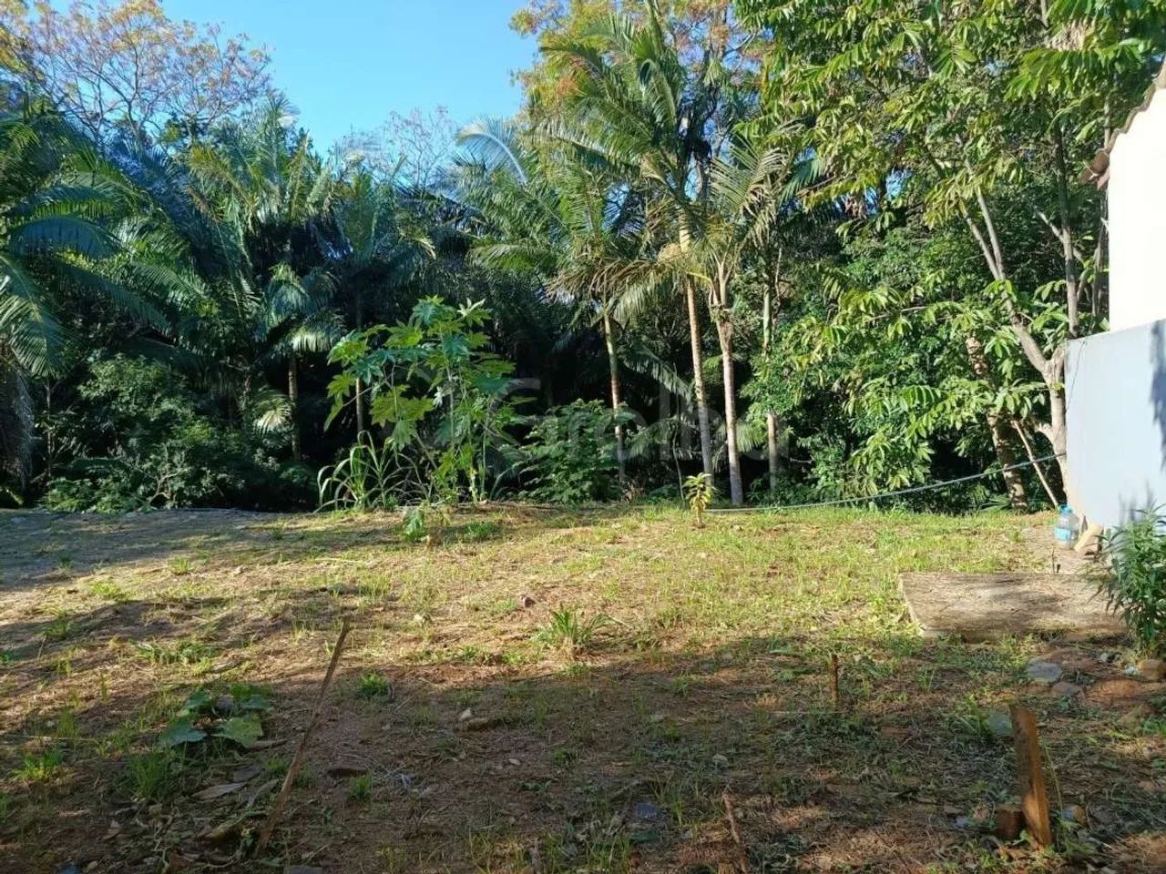 Terreno para Venda em Florianópolis, Pantanal - Foto 4