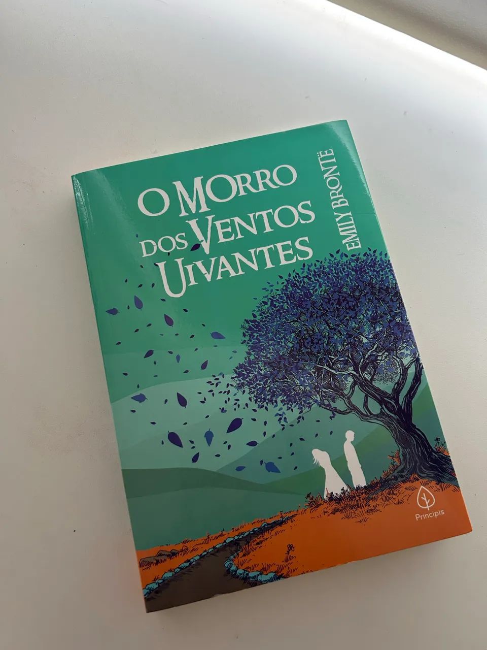 livro Morro dos Ventos Uivantes