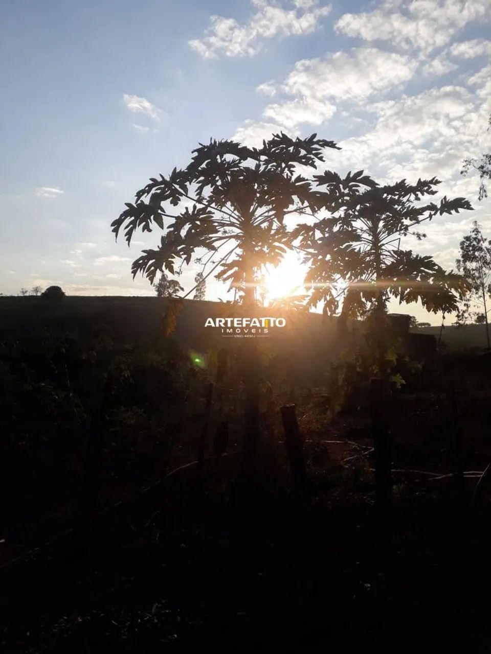 FAZENDA A VENDA EM VARGEM BONITA - Foto 3