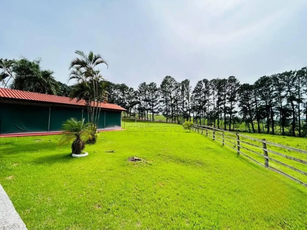 SÍTIO VILA RIBEIRO - MINEIROS/SP - Foto 2
