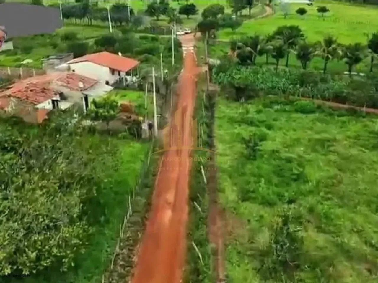 Sítio para Venda em Palmeira dos Índios, Área Rural de Palmeira dos Índios - Foto 2