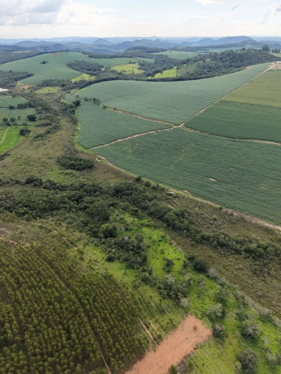 Fazendinhas 20.000m² em Itaguara  - Foto 4