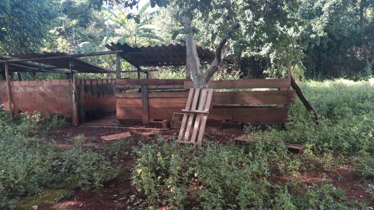 Foto - Goianira - 