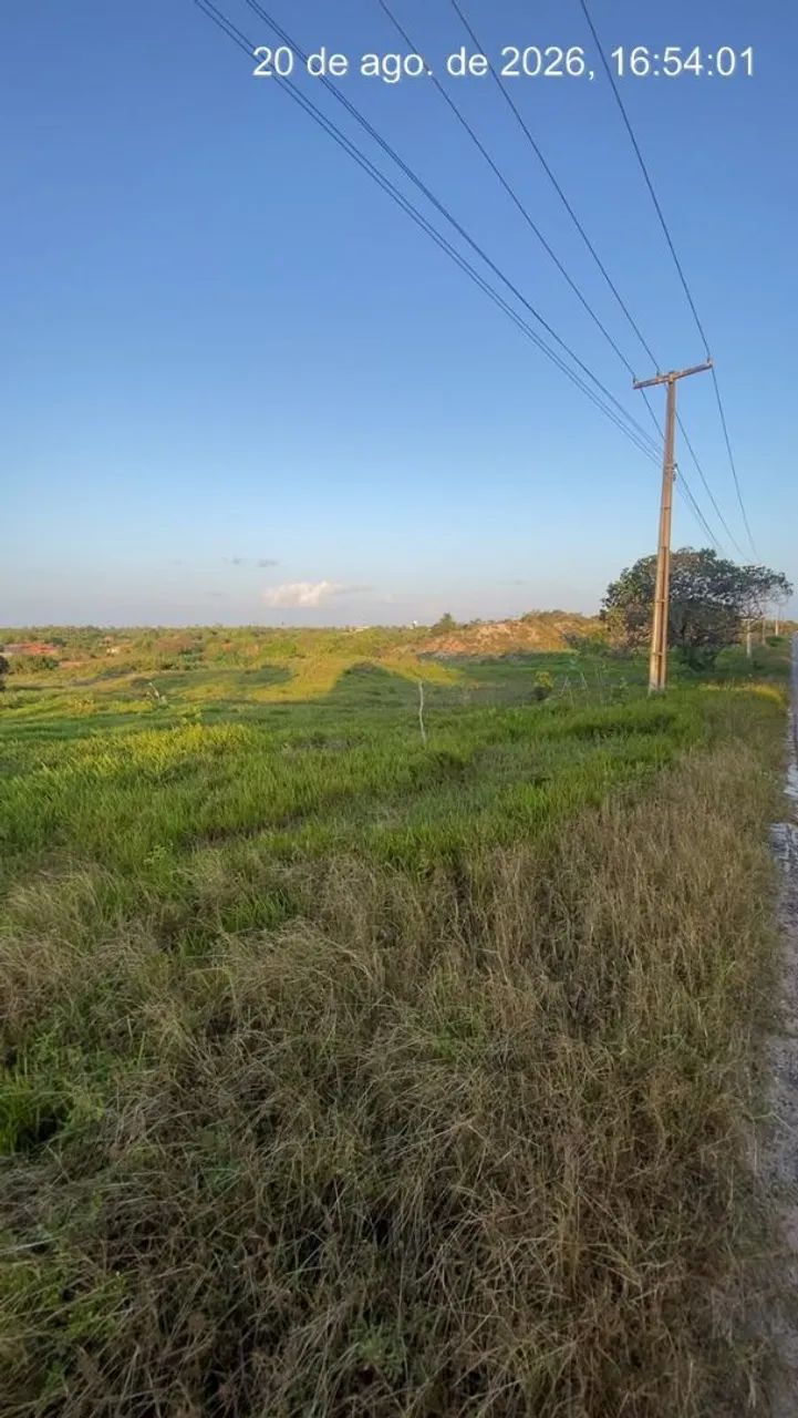 Terreno em Muriú  - Foto 3