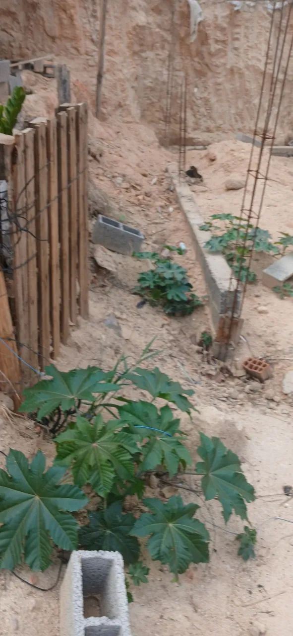 Venda lote - Foto 4