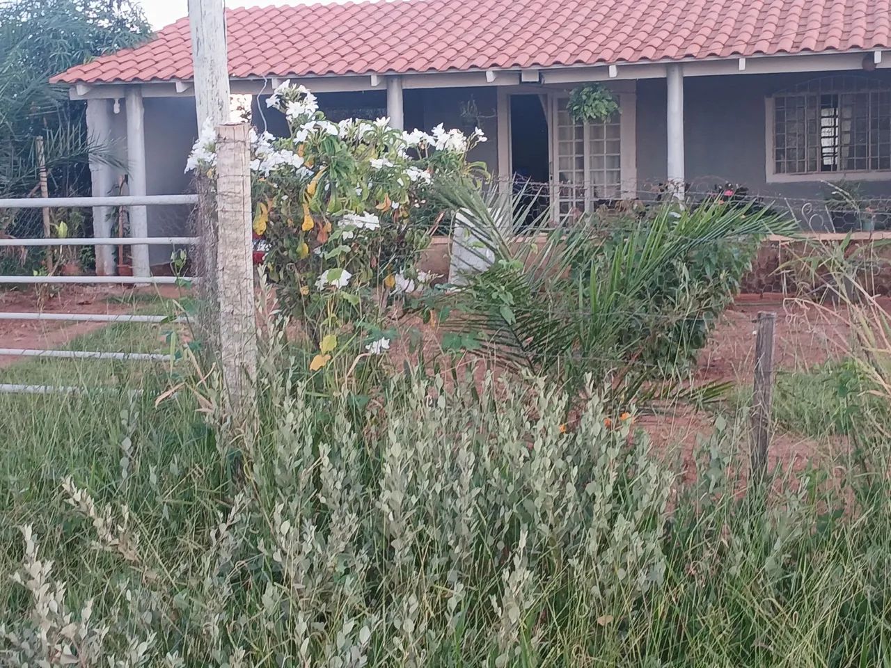 Foto - Uberlândia - Área Rural de Uberlândia