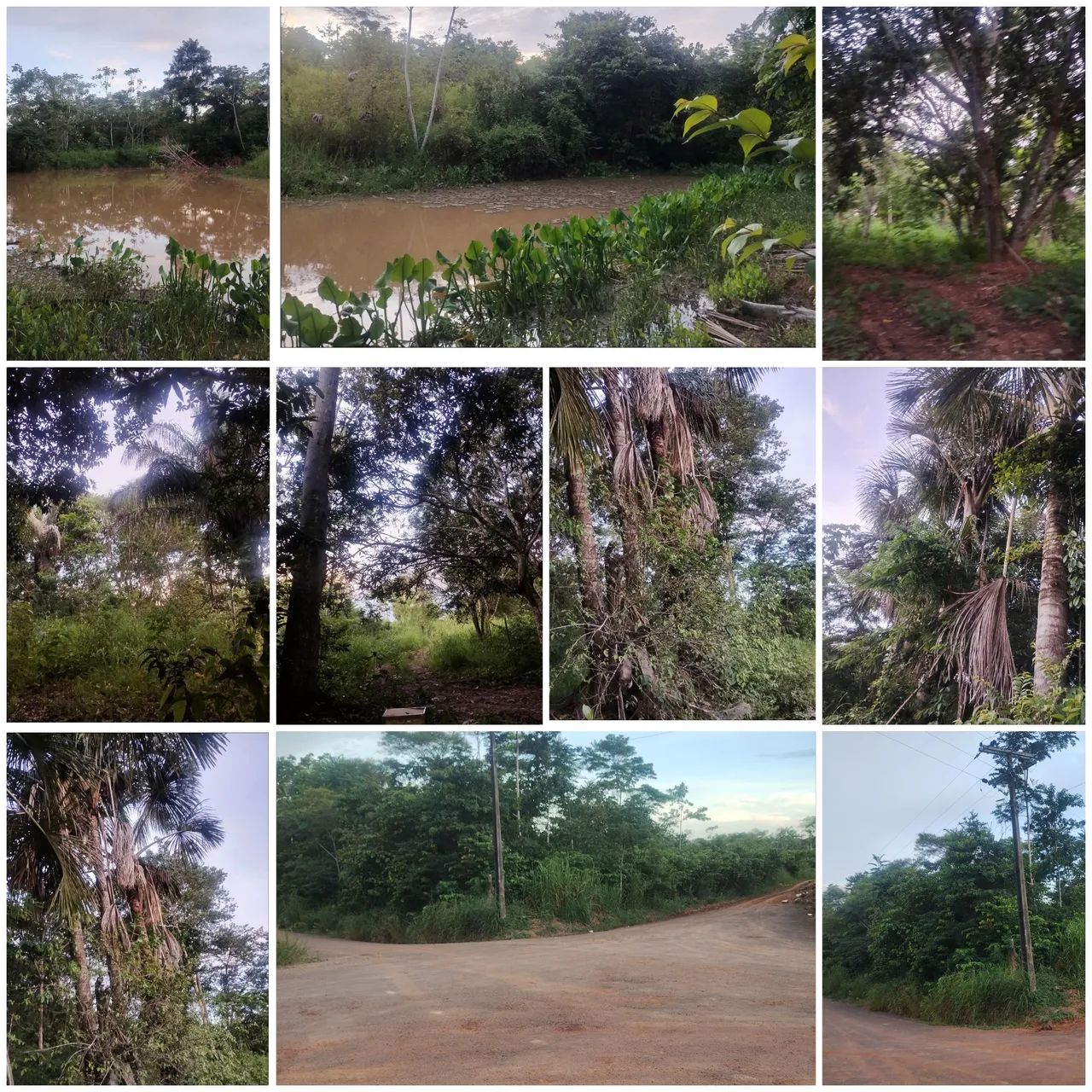 Terra a venda