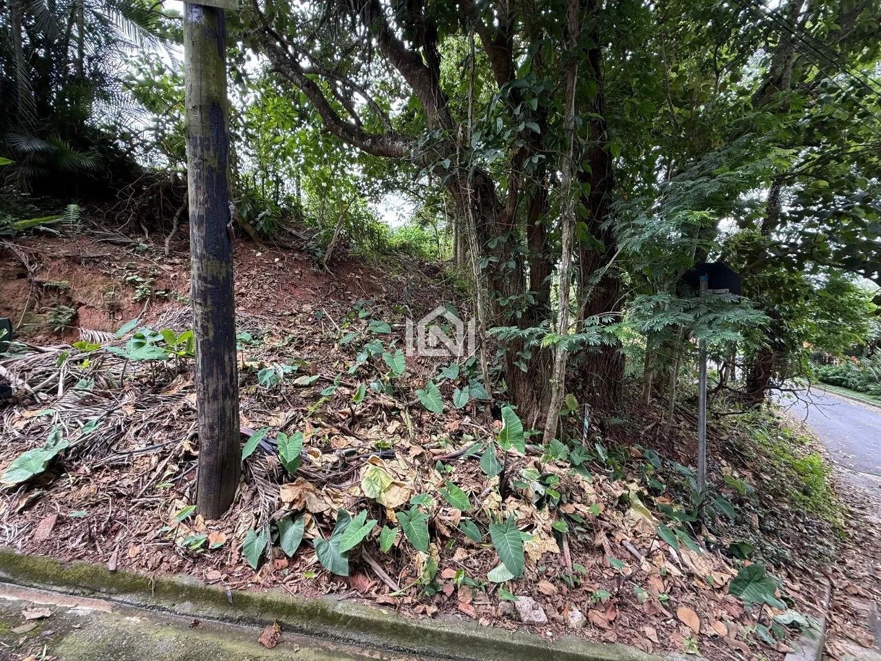 Terreno à venda no condomínio Vila Diva - Foto 4