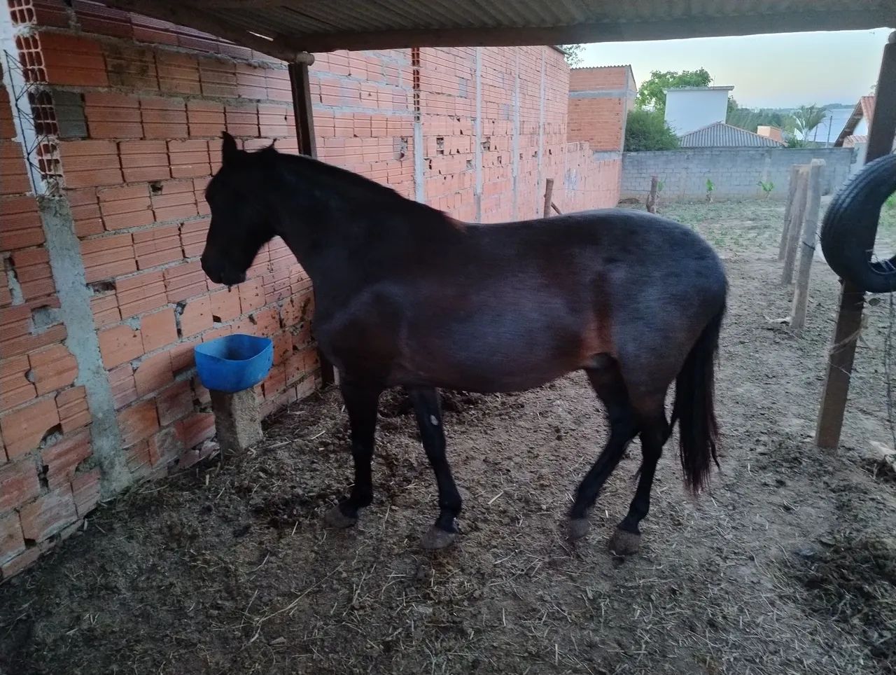 Marcha picada 8 mil - Foto 3