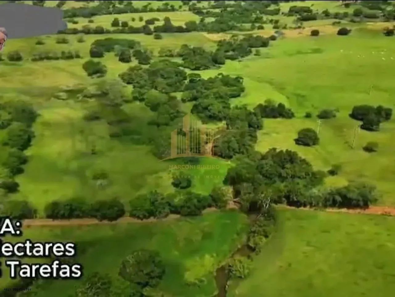 Sítio para Venda em Palmeira dos Índios, Área Rural de Palmeira dos Índios - Foto 12