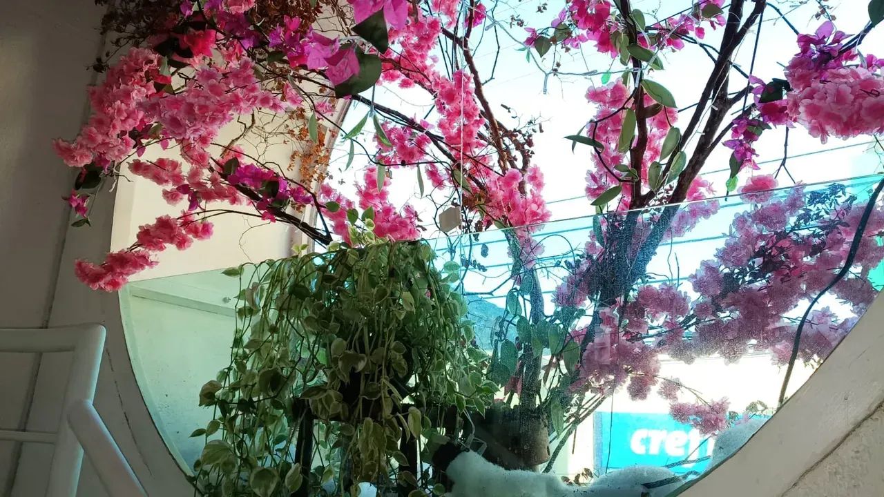 Loja Comercial à Venda  Resende/RJ - Foto 3
