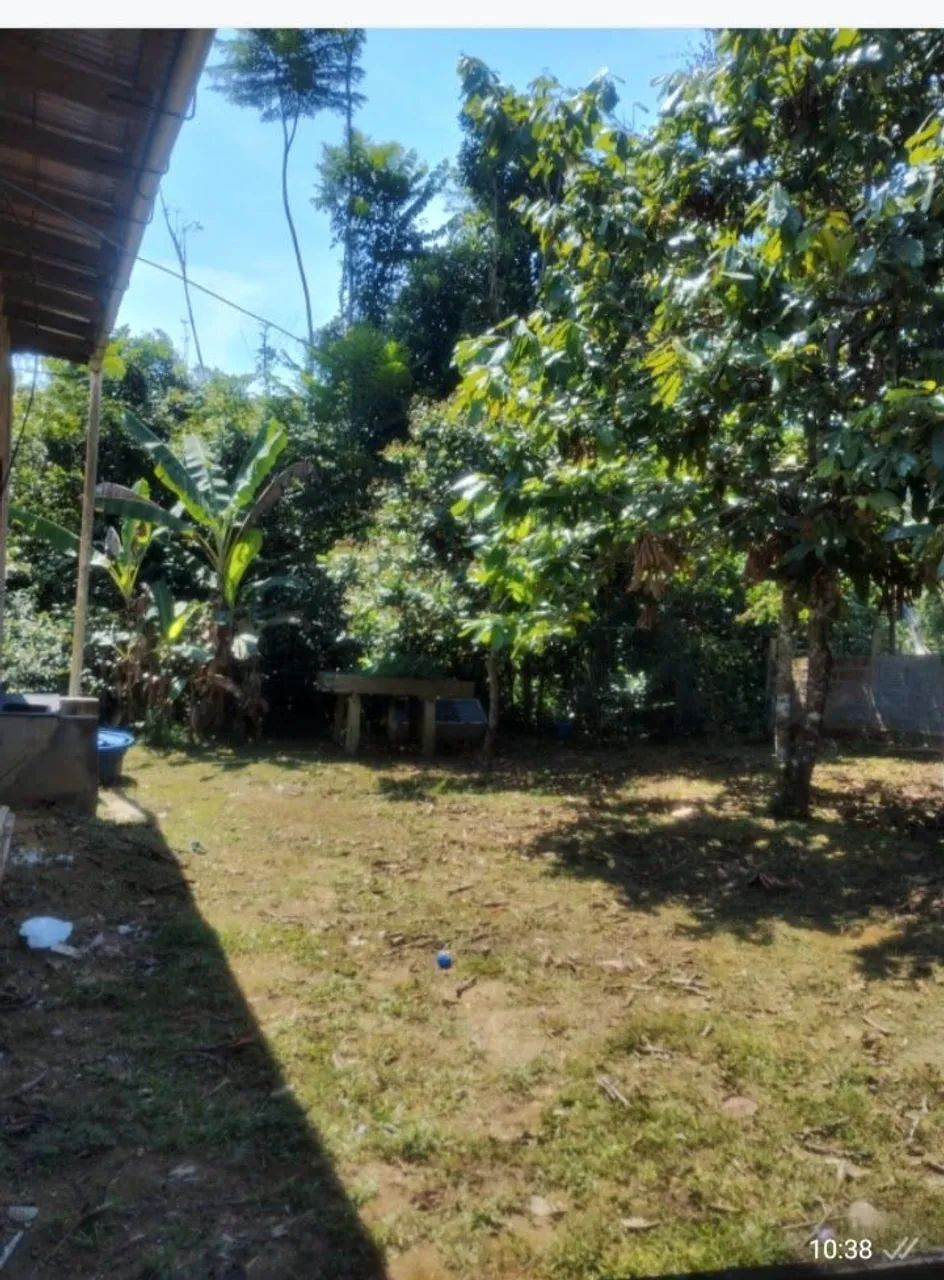 Vendo Sítio  - Foto 3