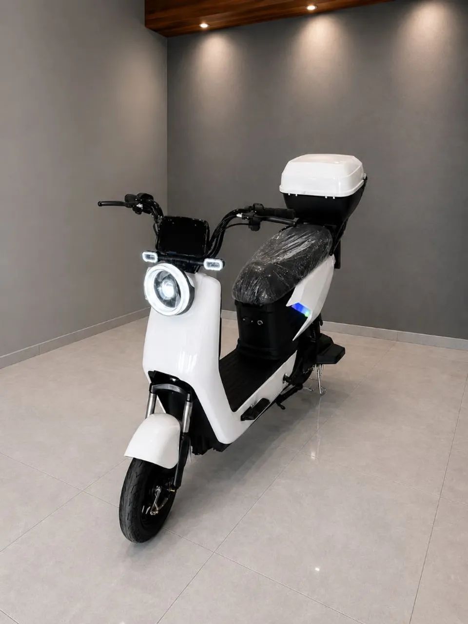 MODELO MAJIM STANDART
