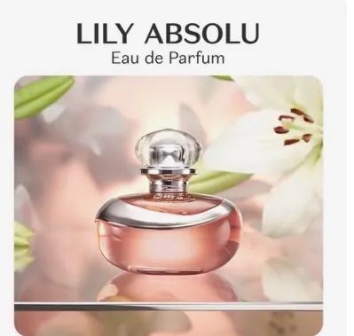 lily_Sa出品！ Lily Absolut promoção $180,00 excelente - Beleza e Cuidados