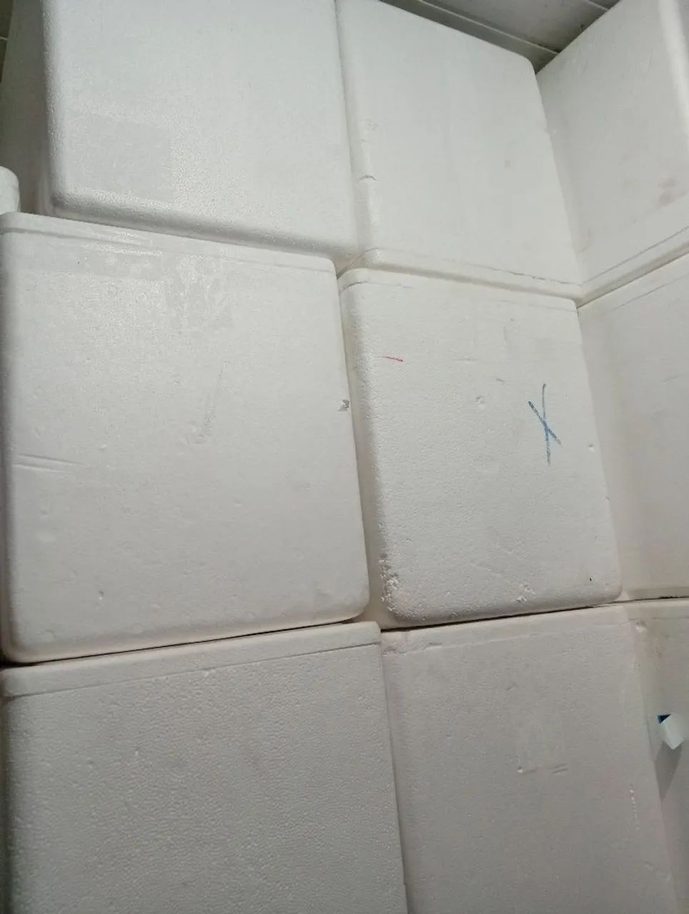 Caixa de isopor de 44 litros para bags 