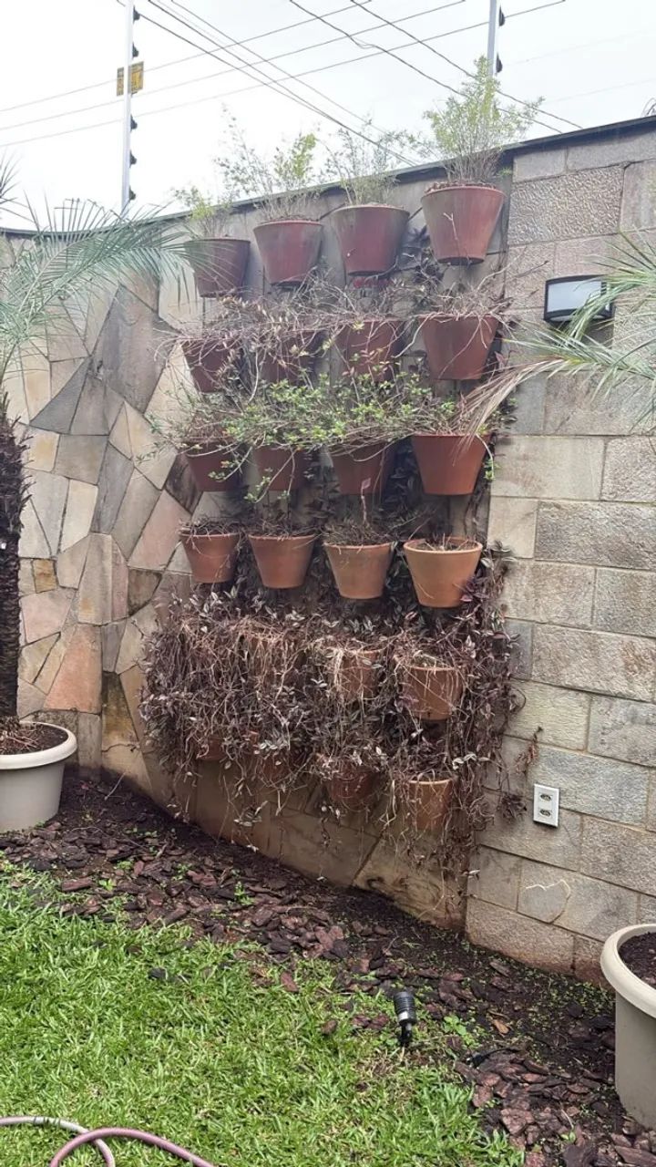 Conjunto de vasos eplantas