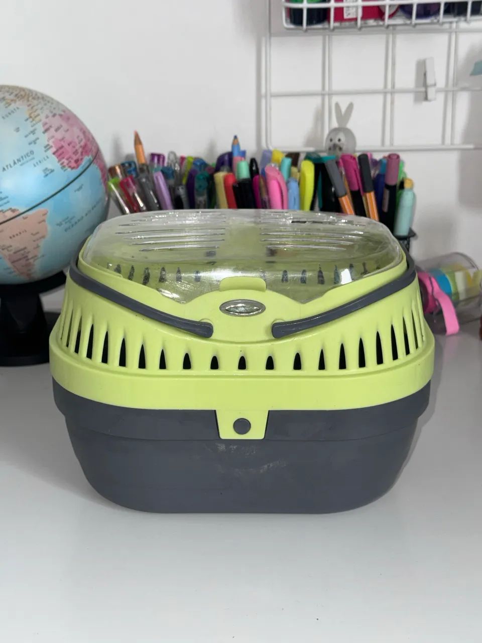 Caixa transporte para porquinho da índia  - Foto 2