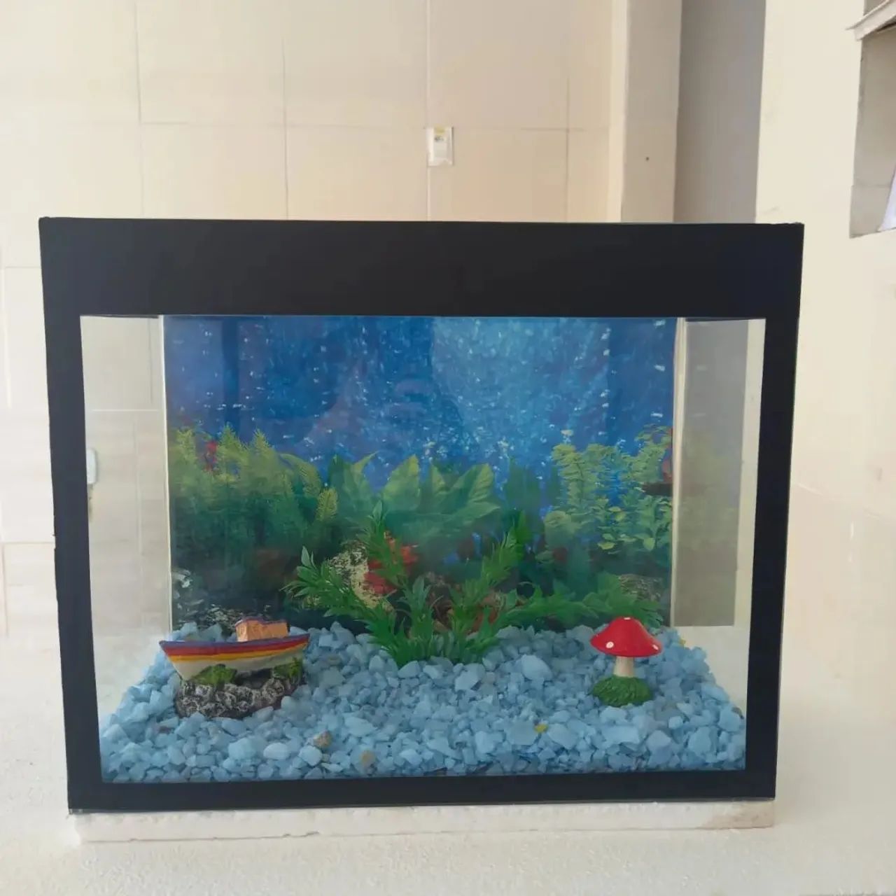 Limpeza de aquário - Foto 3