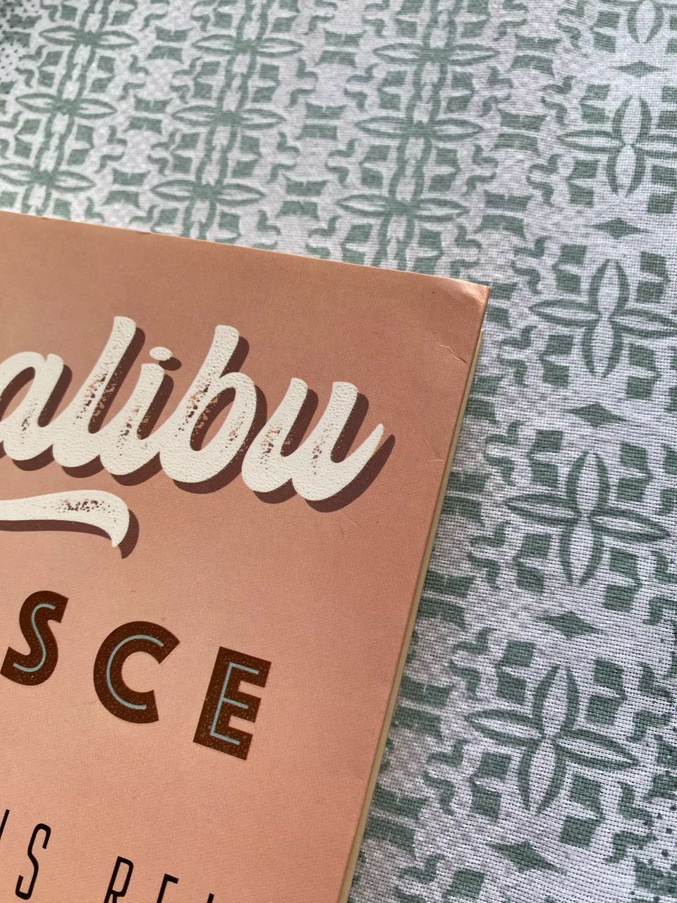 Livro - Malibu Renasce  - Foto 2